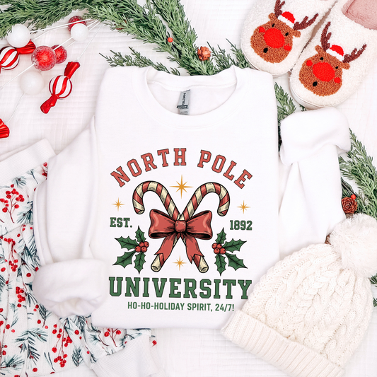 North Pole University